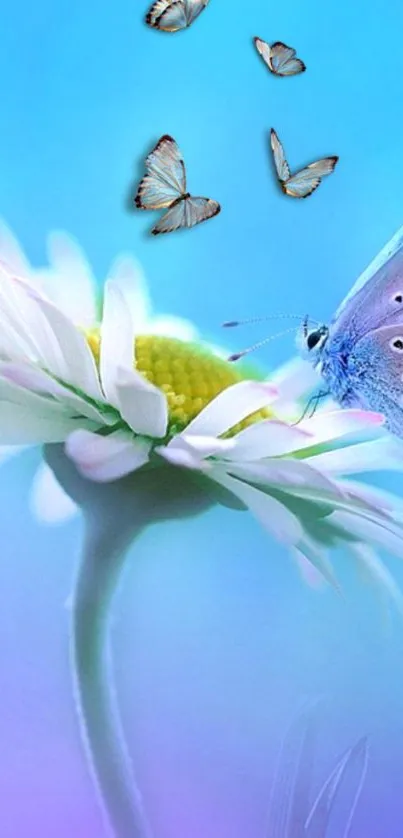 A peaceful scene with a blue butterfly and flower on a vibrant blue background.