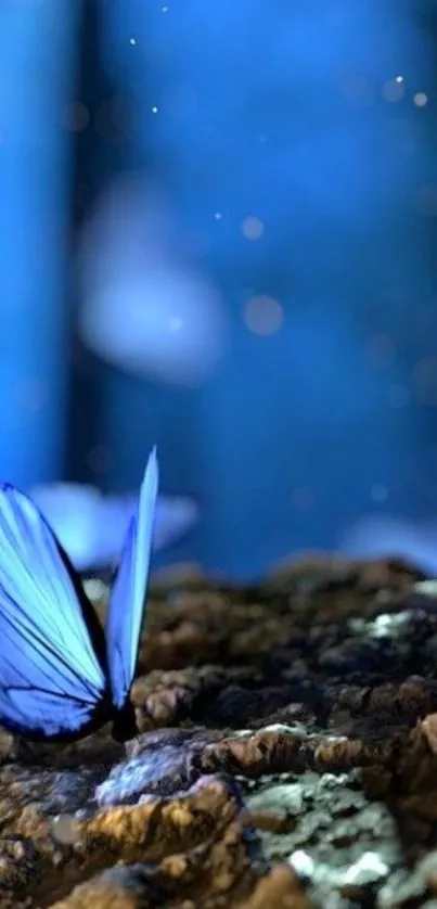 Blue butterfly resting in a mystical forest with glowing lights.