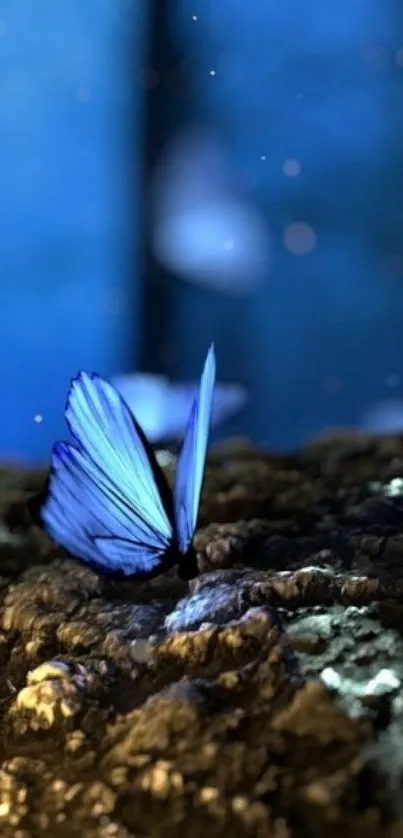 Blue butterfly resting on forest floor in mystical lighting.