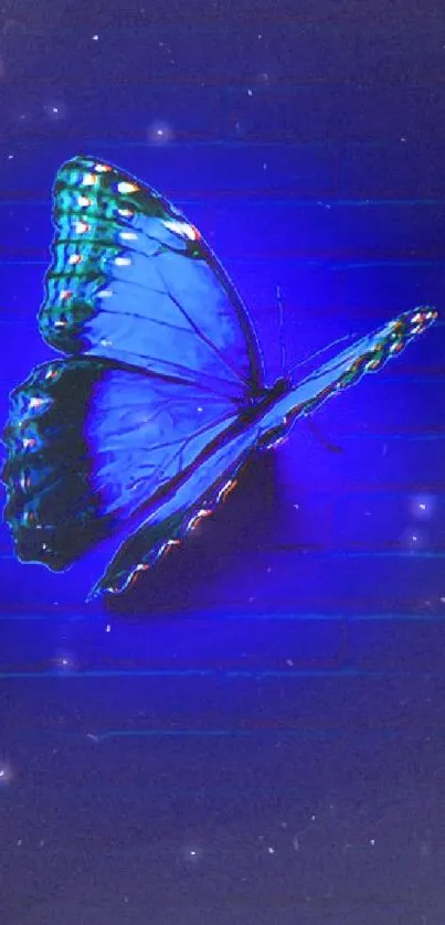 Glowing blue butterfly on dark background, radiating elegance.