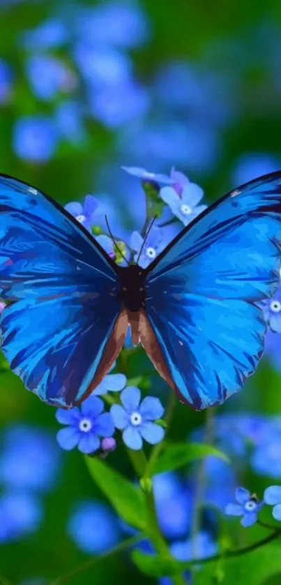 Blue butterfly resting on purple flowers in vibrant nature scene.