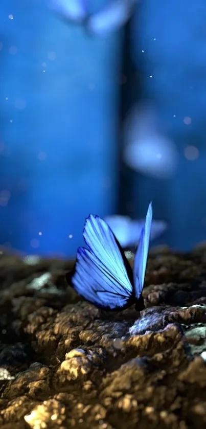 Blue butterfly on forest floor with glowing mushrooms.