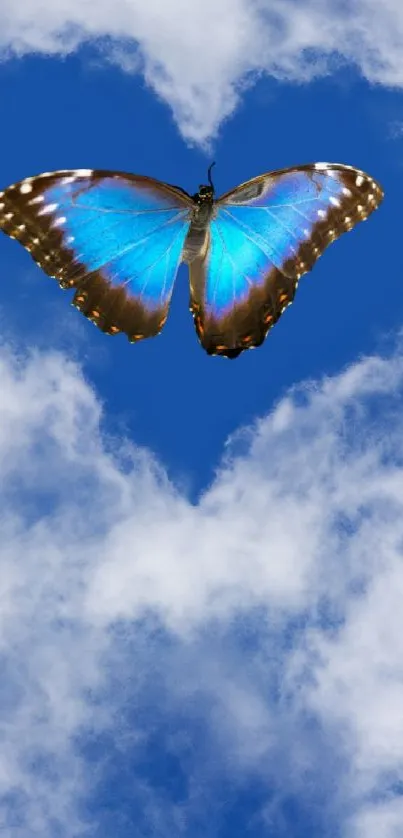 Blue butterfly flying in a heart-shaped sky.