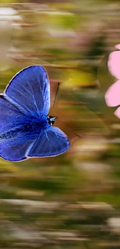 Blue butterfly in motion with a blurred floral background.