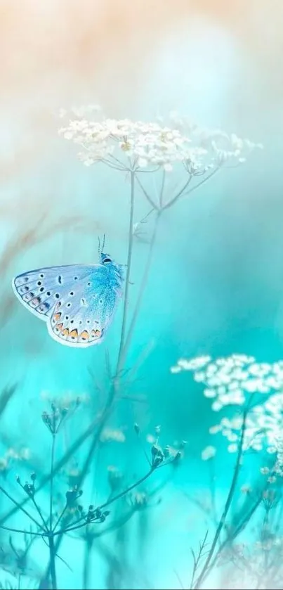 Blue butterfly among white flowers in a soft turquoise setting.