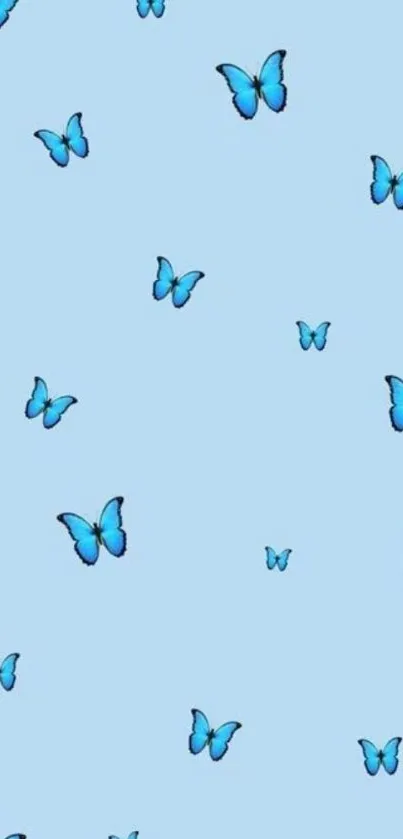 Patterned blue butterfly wallpaper on light blue background.