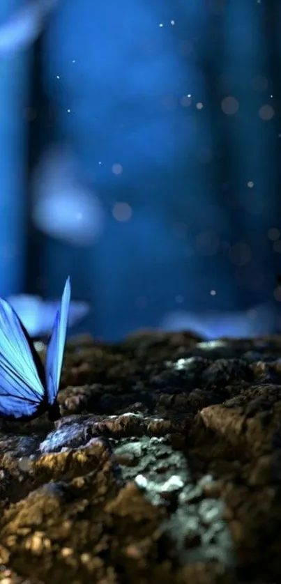 Blue butterfly resting in a tranquil night forest.