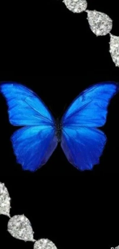 Blue butterfly and diamonds on black background.