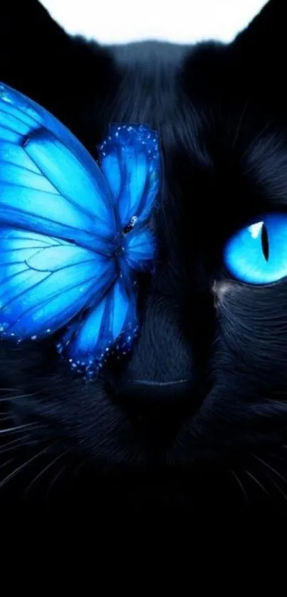Blue butterfly rests gently on a black cat's face.