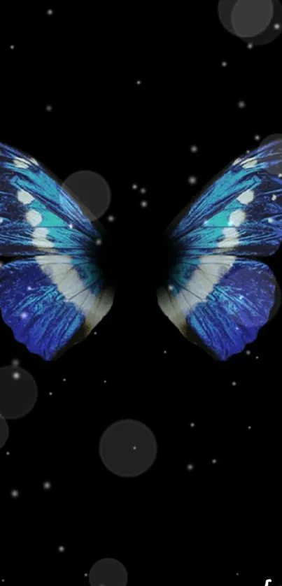 Elegant blue butterfly on a black background wallpaper.