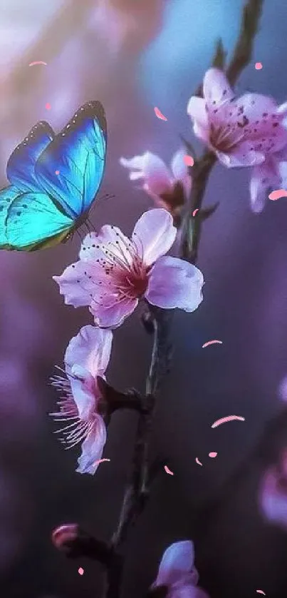 Blue butterfly on pink floral branch in gentle light.