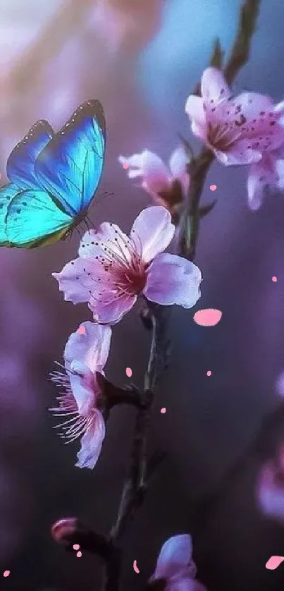 Blue butterfly rests on cherry blossoms in peaceful mobile wallpaper.