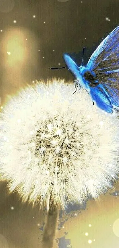 Blue butterfly perched on a white dandelion with a soft beige background.