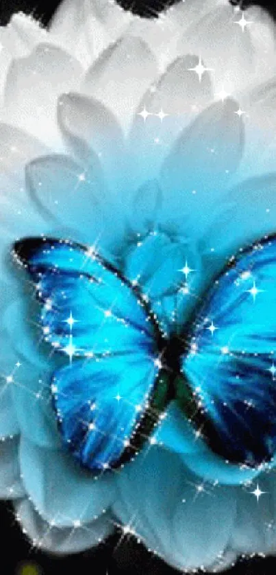 Blue butterfly on white flower with sparkling detail.