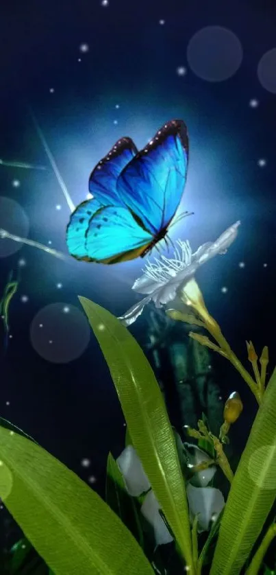 Blue butterfly perched on a flower in dark background.