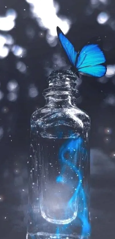 A vivid blue butterfly rests on a delicate glass bottle in a dark setting.