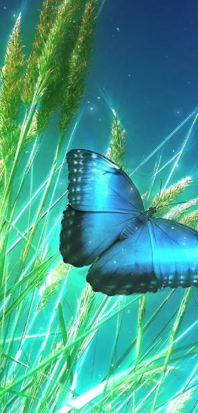 Blue butterfly resting on vibrant green grass with aqua background.