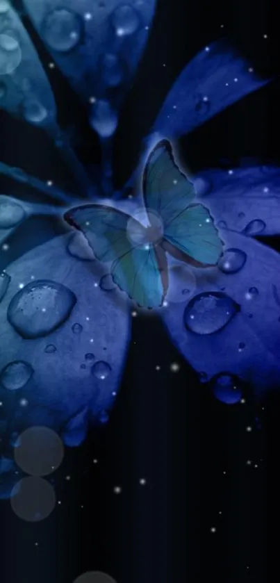 Blue butterfly on dark leaves with dew drops wallpaper.