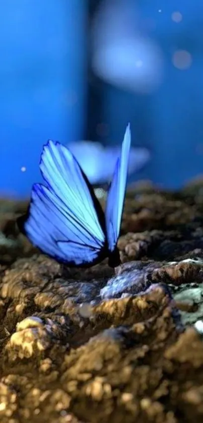 Blue butterfly perched on mystical rocks with ethereal glow.