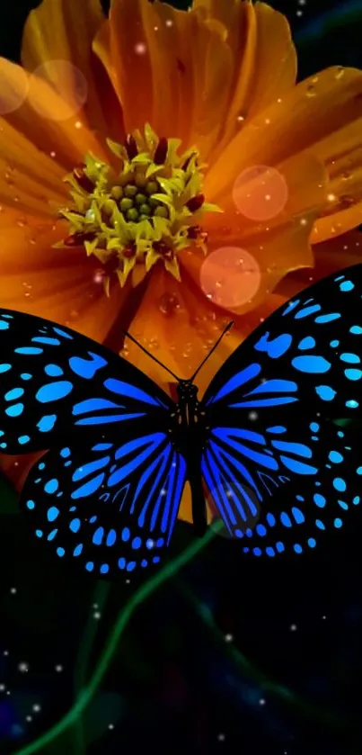 Blue butterfly resting on orange flower in this stunning wallpaper.