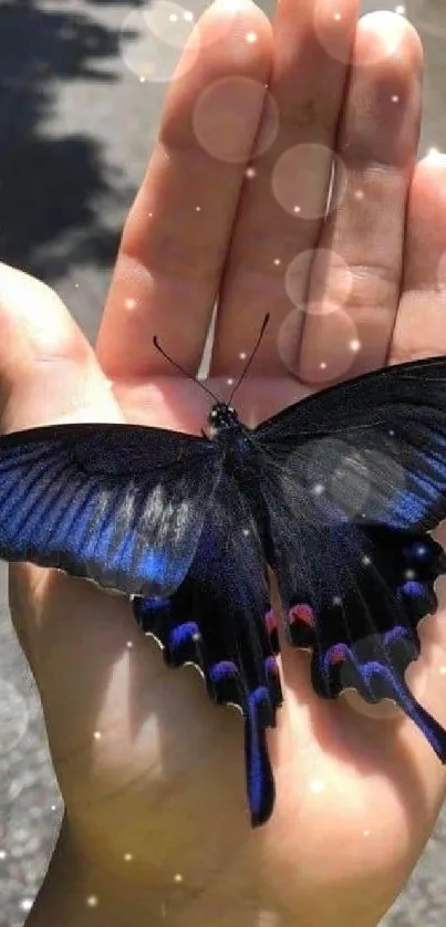 Blue butterfly resting on an open palm outdoors.