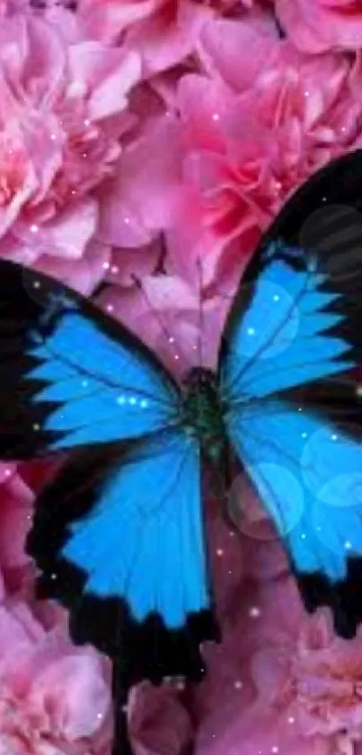 Blue butterfly resting on vibrant pink flower background.