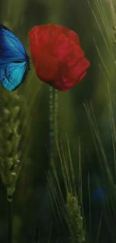 Blue butterfly rests on a red flower amid green stalks.