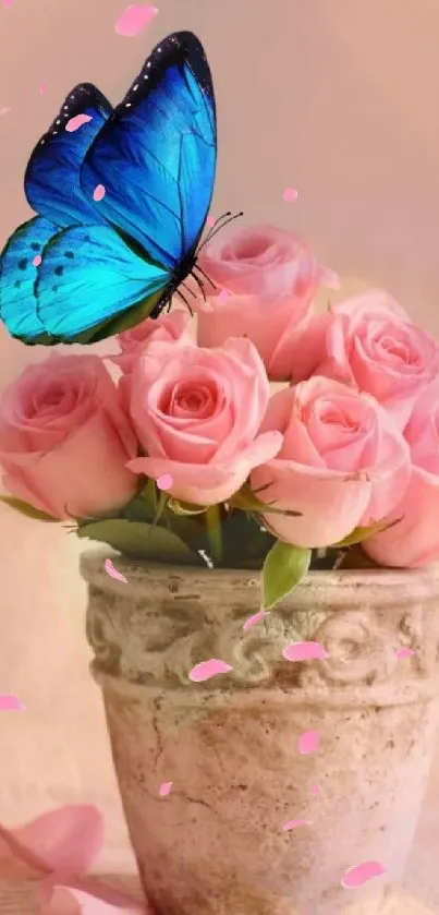 Blue butterfly rests on pink roses in a vase, capturing natural elegance.