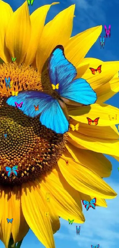 Blue butterfly perched on a sunflower under a bright sky.