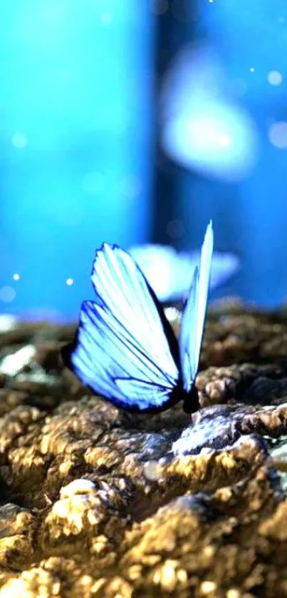 Blue butterfly rests on tree bark, shining in vibrant colors.