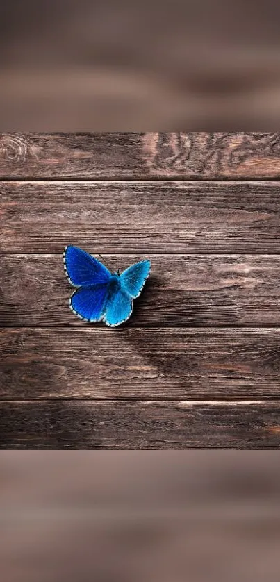 Blue butterfly on a rustic wooden surface, set as mobile wallpaper.