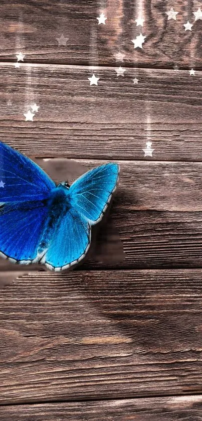 Blue butterfly on rustic wood with star accents.