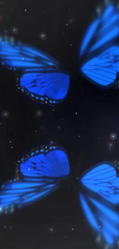 Glowing blue butterflies on a dark background wallpaper.