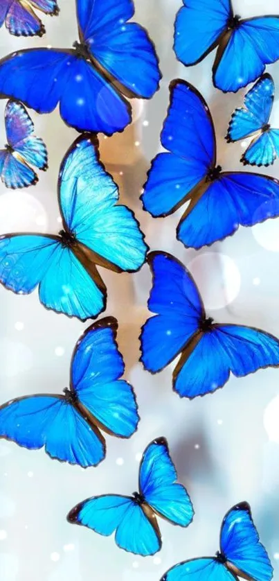 Blue butterflies fluttering on a white background, perfect for mobile wallpaper.