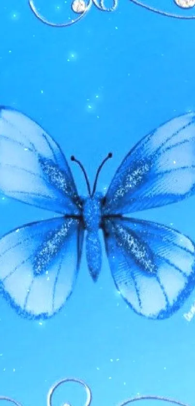 Blue butterfly with intricate silver designs on a sky blue background wallpaper.