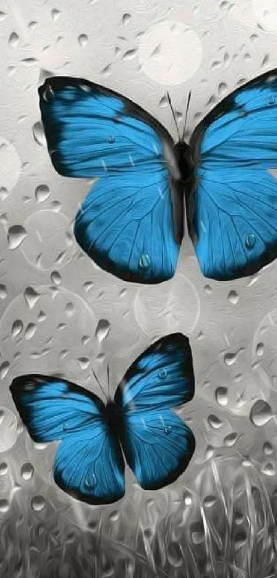 Blue butterflies with raindrops on a textured background.