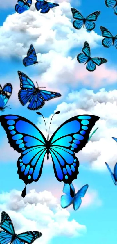 Blue butterflies fluttering in the sky filled with clouds.