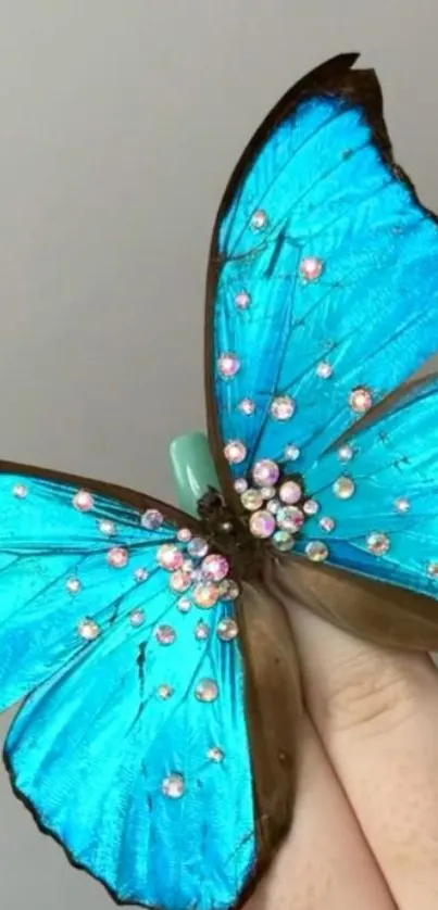 Blue butterfly with sparkling details on wings.