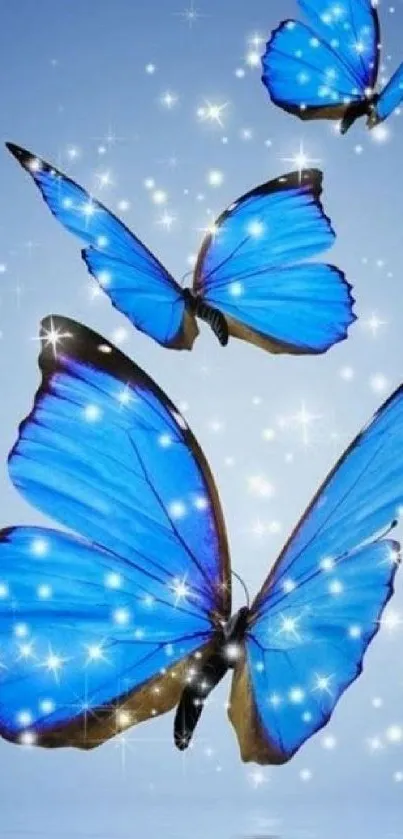 Blue butterflies with sparkling stars on a vibrant background.