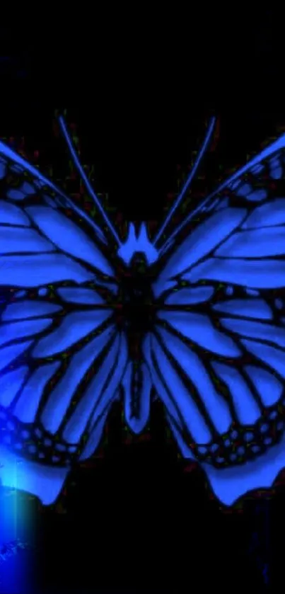 Blue butterfly with black details on a dark background.