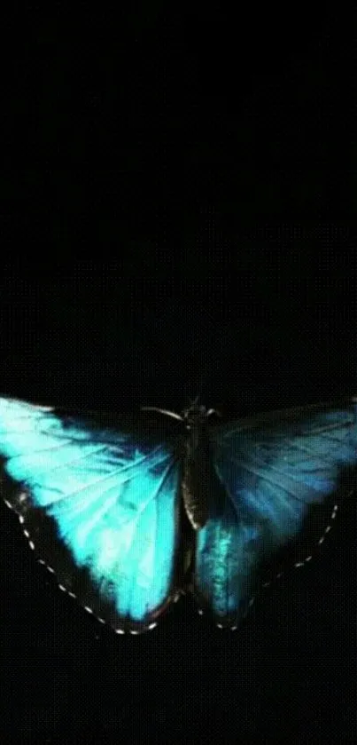 Elegant blue butterfly on a dark background design.