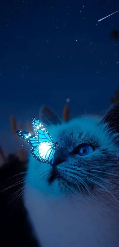 A cat looks at a glowing blue butterfly under a starry night sky.