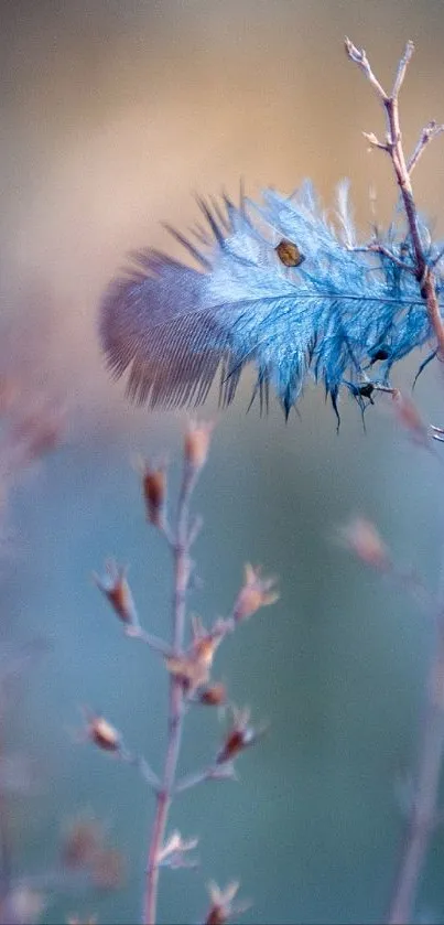 Blue caterpillar on dried plants with a soft blue background.