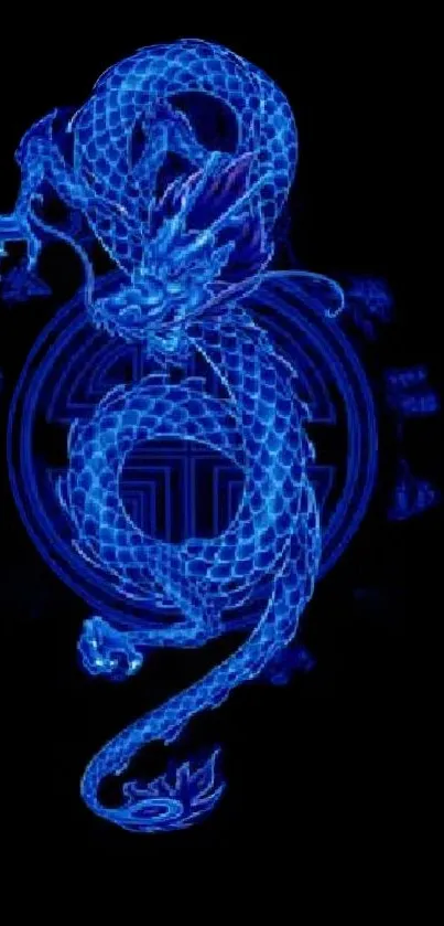 Blue dragon on black background wallpaper.