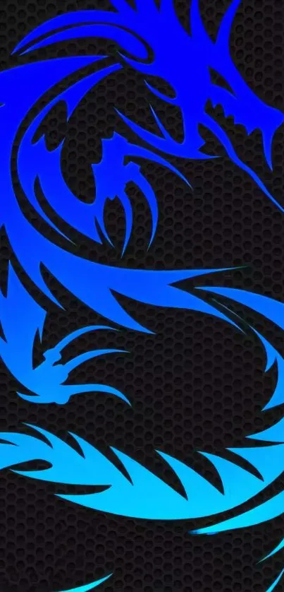 Blue dragon design on a black textured background.