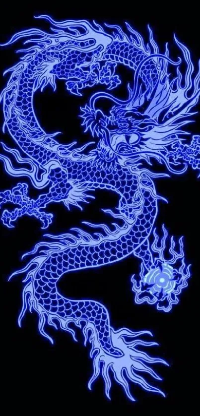 Blue dragon design on black background wallpaper.