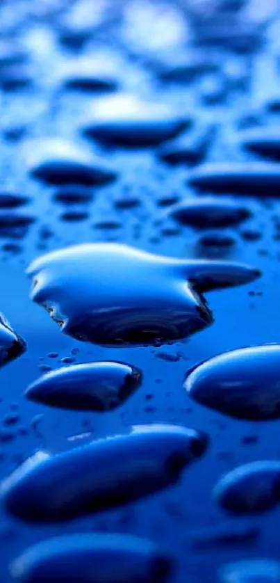 Close-up of glossy blue water droplets on a surface, creating a serene and fresh look.