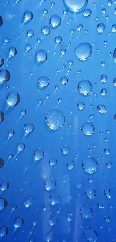 Blue droplets on a bright background, creating a serene mobile wallpaper.