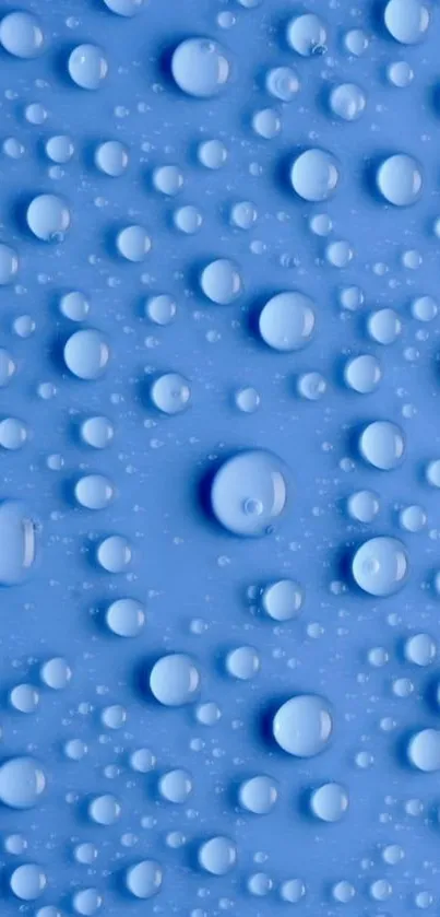 Wallpaper featuring blue water droplets on a smooth surface.