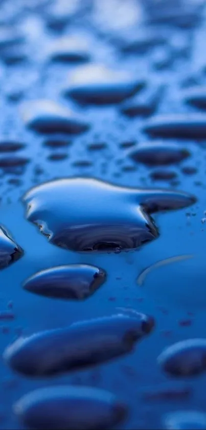 Close-up of blue water droplets on a smooth surface wallpaper.